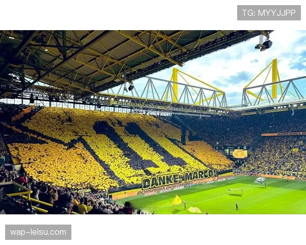 多特蒙德宣布伊杜纳信号公园球场南看台扩建计划